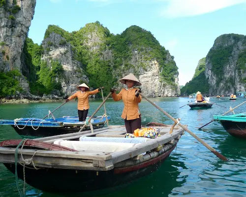 Vietnam In Depth